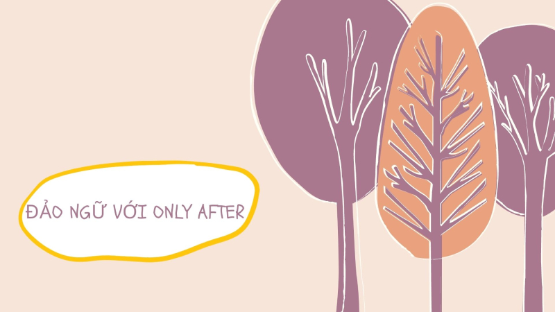 Cấu trúc câu đảo ngữ với Only After